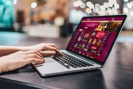 Is Legit PitBet the Right Choice for You