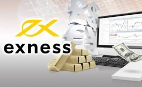 Choose Exness For Demo Trading 6