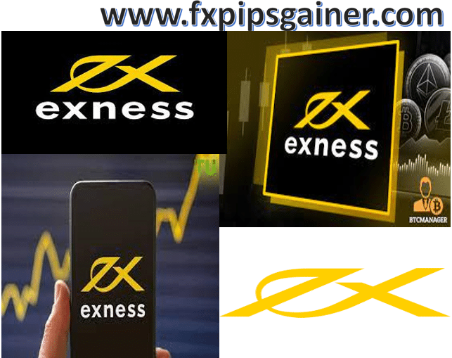 Everything You Need to Know About Exness Broker
