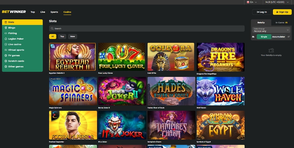 Expert Guide to Betwinner Customer Support