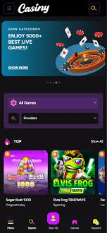 Exploring the Excitement of Casiny Casino